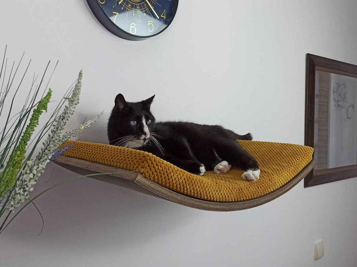 Softly Shaped Cat Wall Shelf, 60 cm
