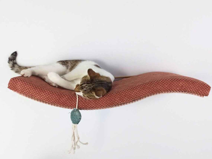 Wave Cat Wall Shelf