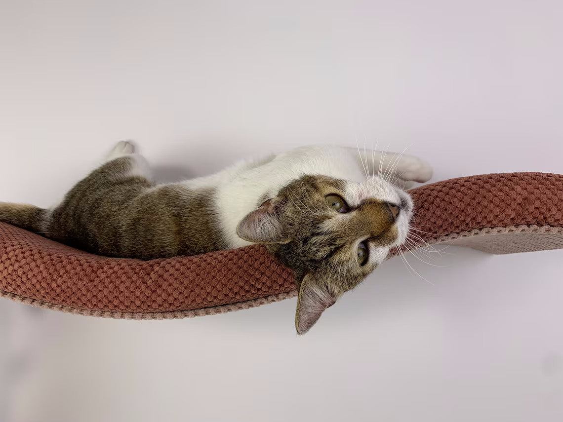 Wave Cat Wall Shelf, 75 cm Symmetrical Left by Cat's Atelier, view 14