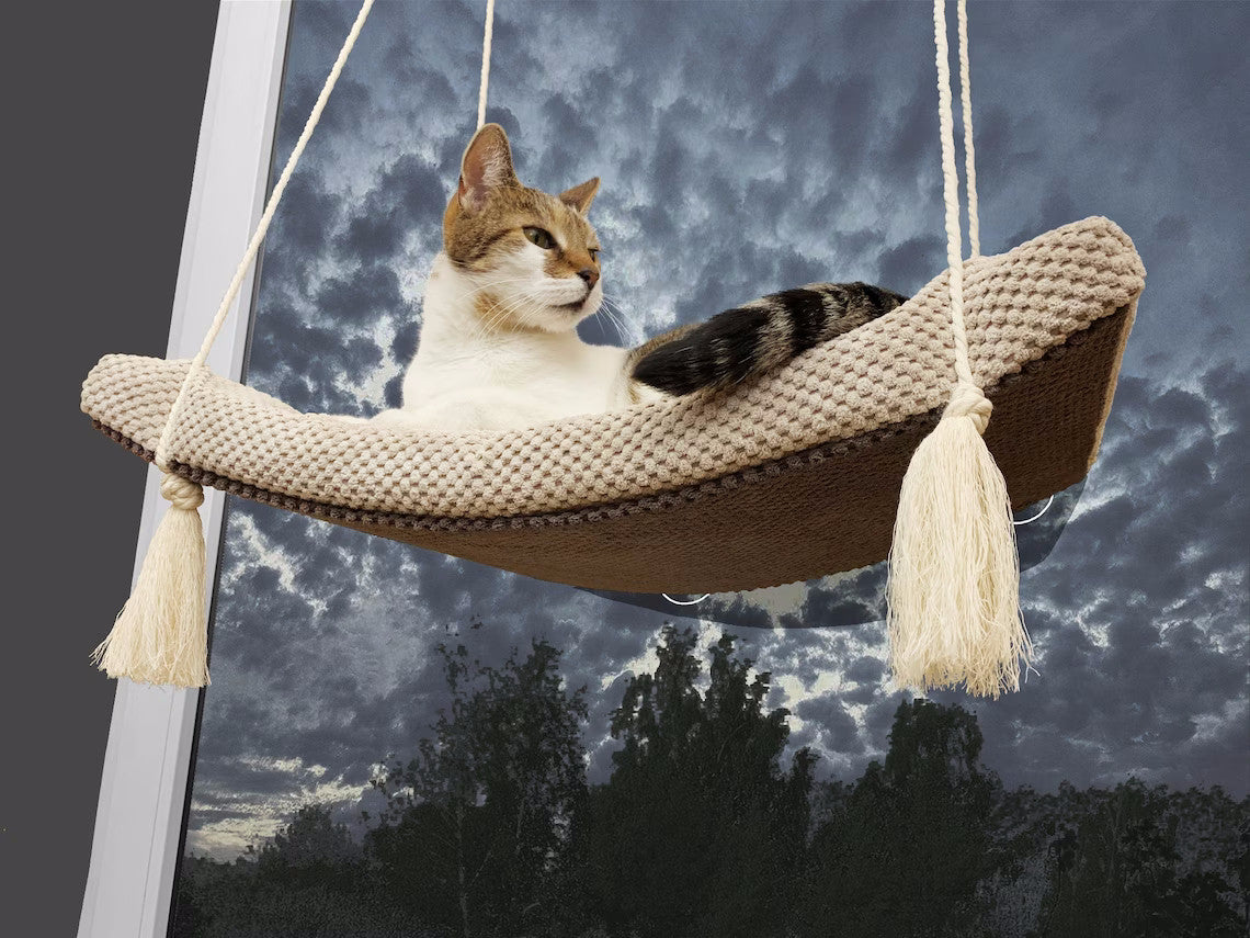 Arcing View Cat Window Shelf, 75 cm by Cat's Atelier