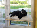 Sunny Spot Cat Window Shelf, 75 cm