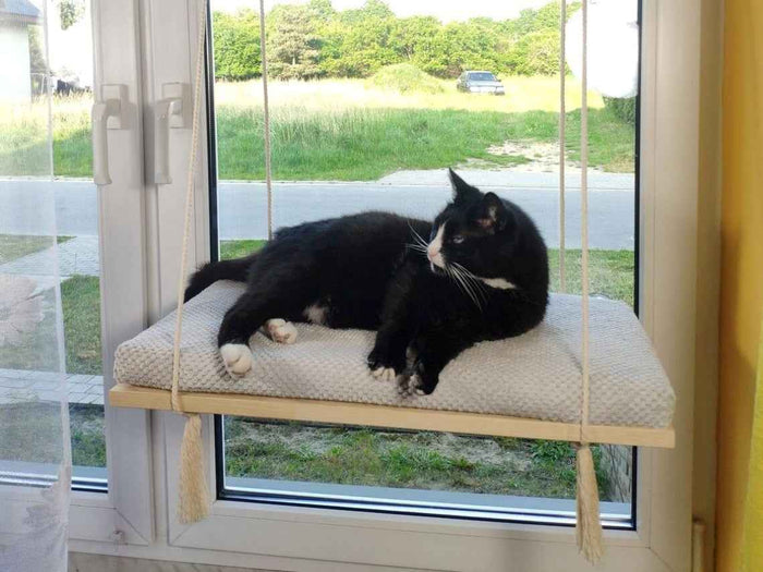 Sunny Spot Cat Window Shelf, Wood Base