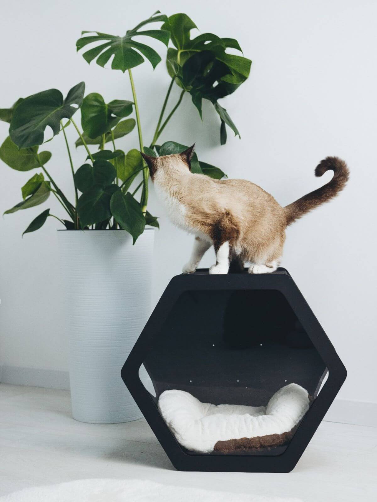 Hexagon Cat House White