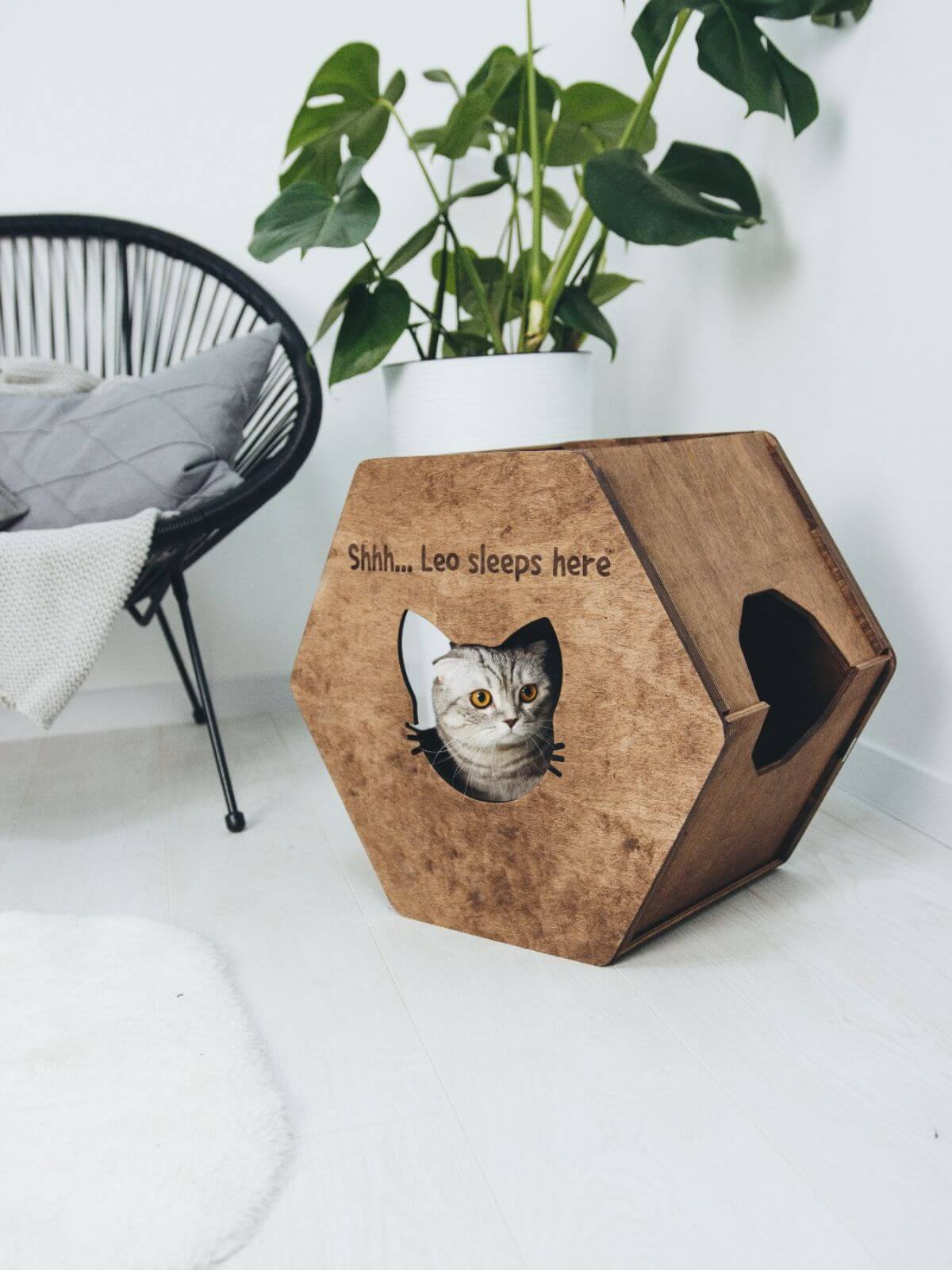 Hexagon Cat House White
