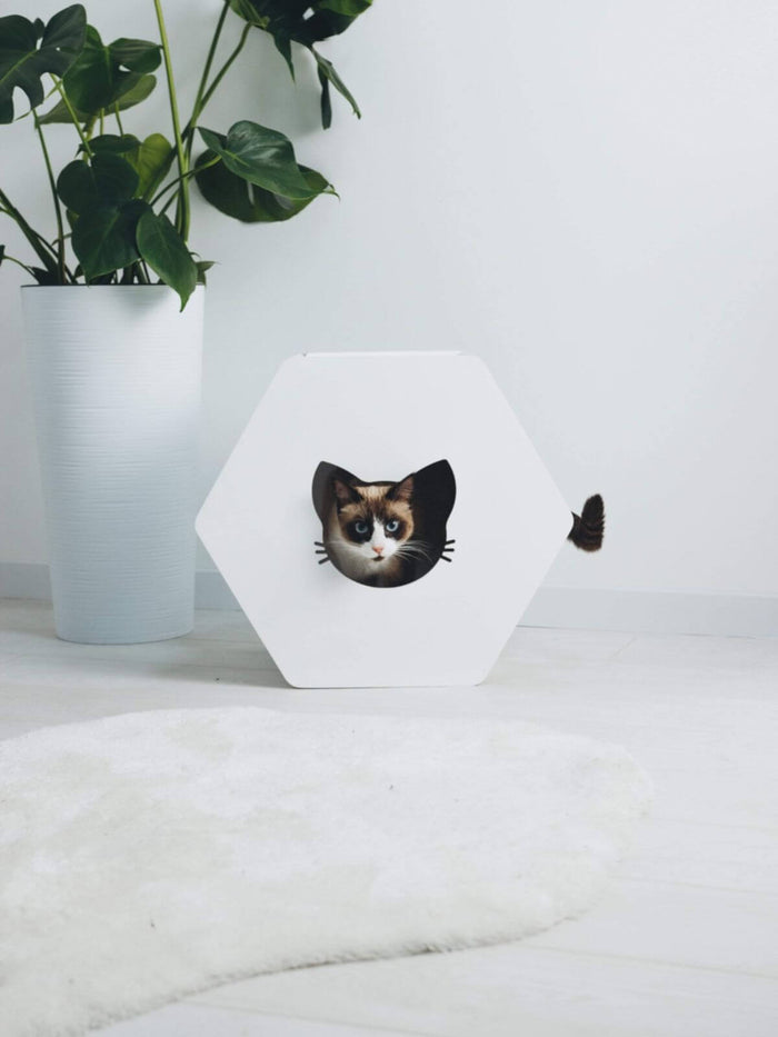 Hexagon Cat House White