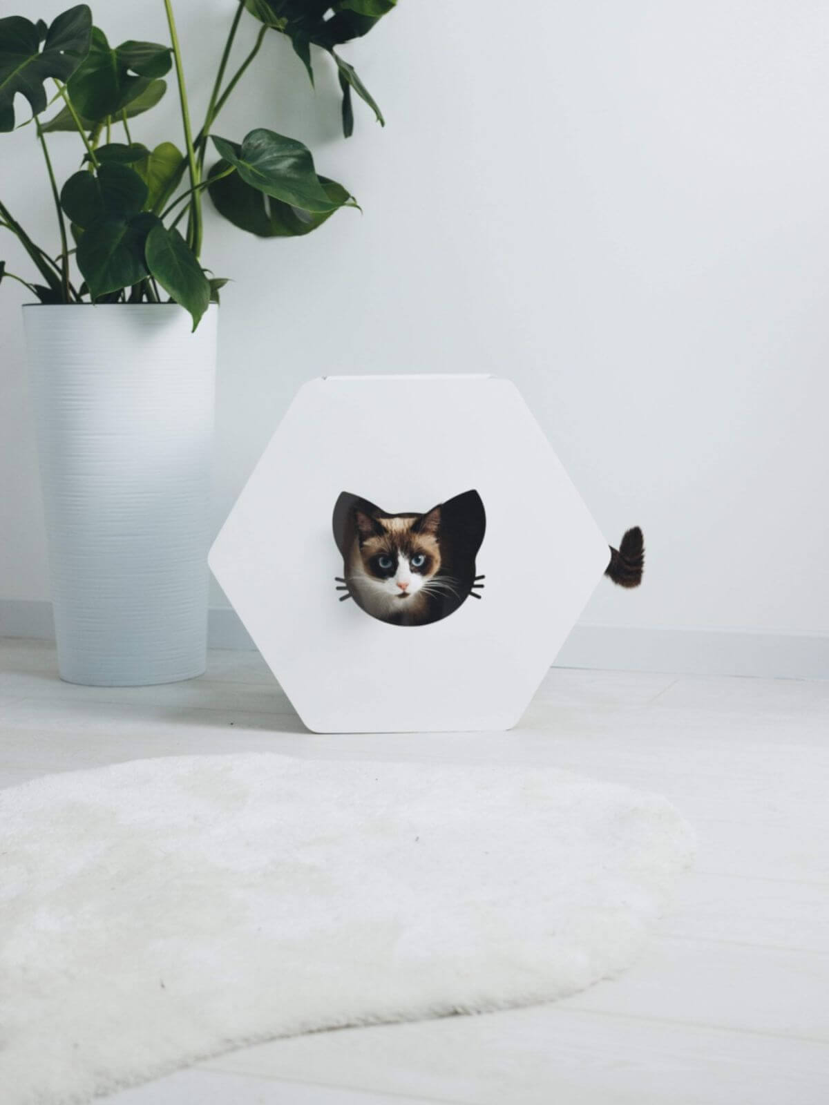 Hexagon Cat House White