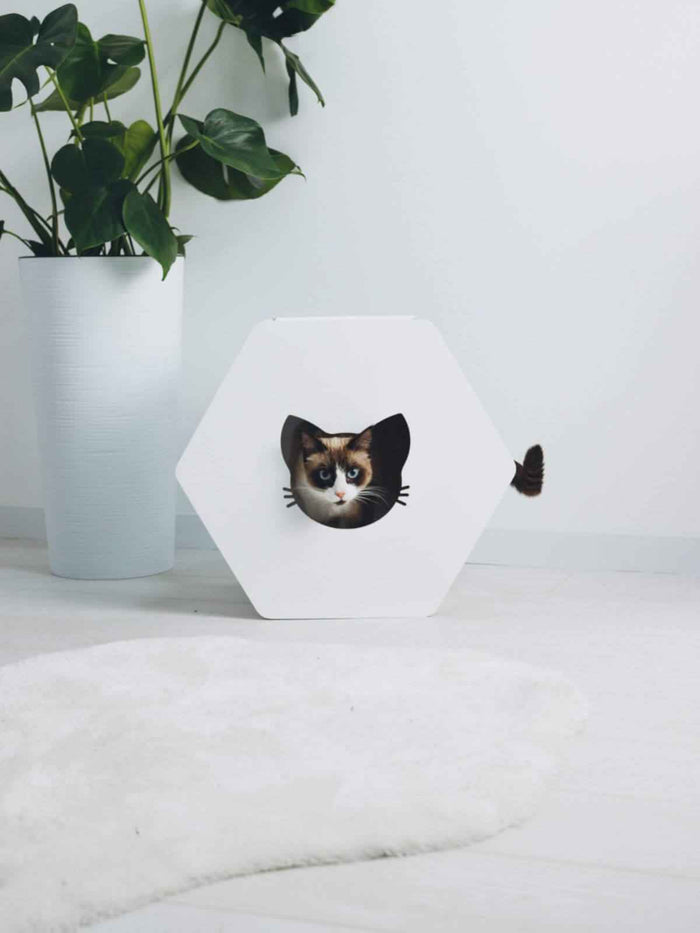Hexagon Cat House White