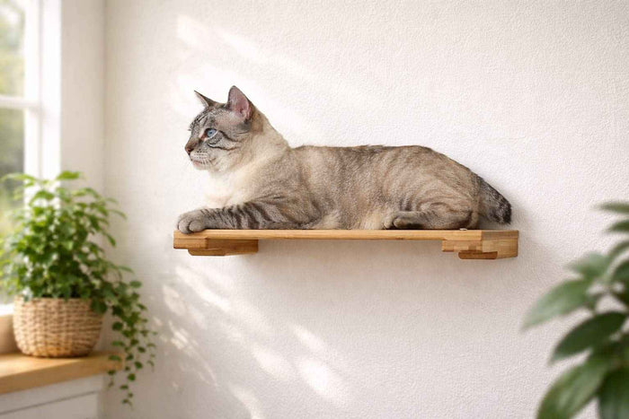 Wall-Mounted Cat Shelf