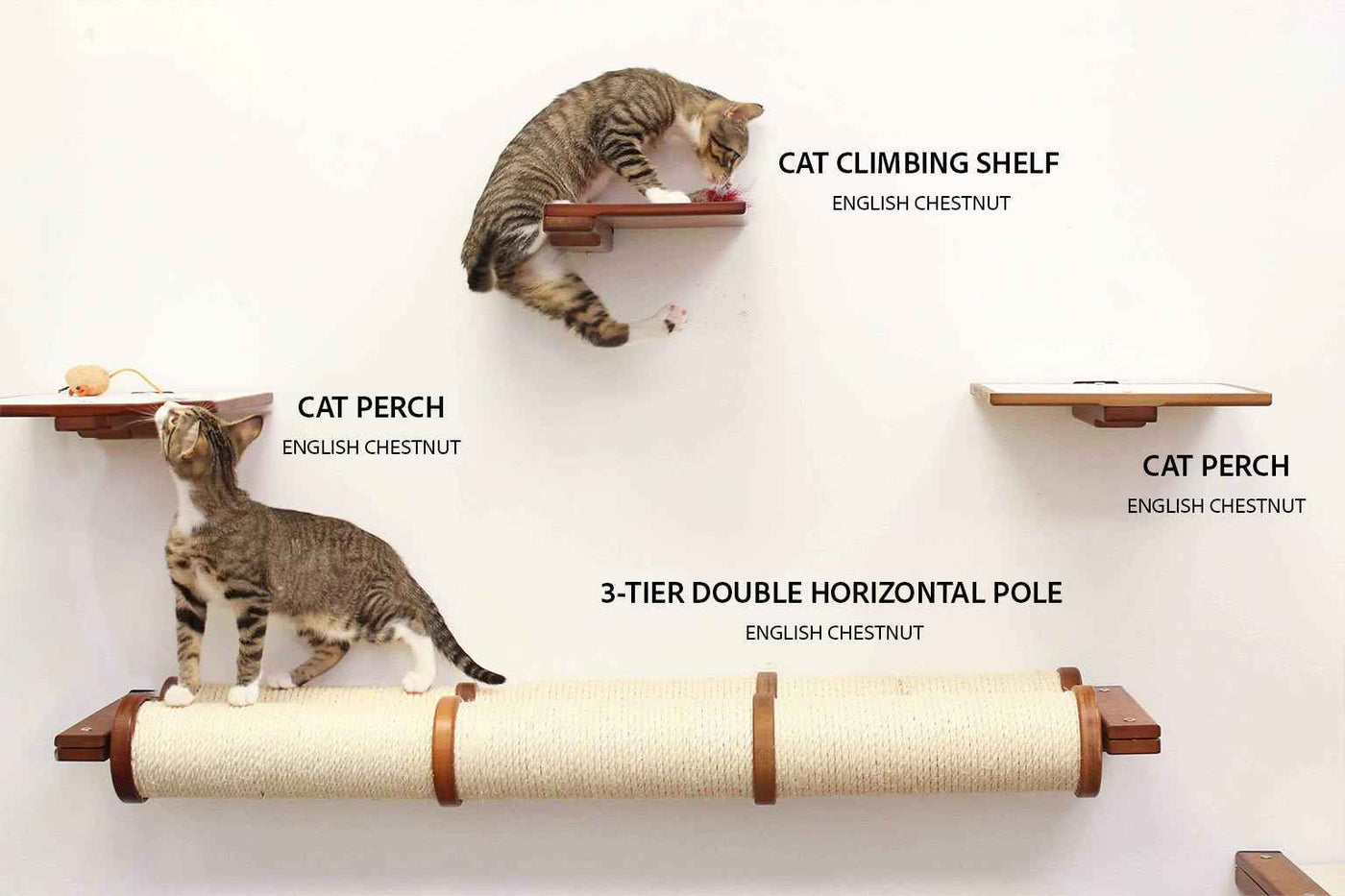 Cat Climbing Shelf