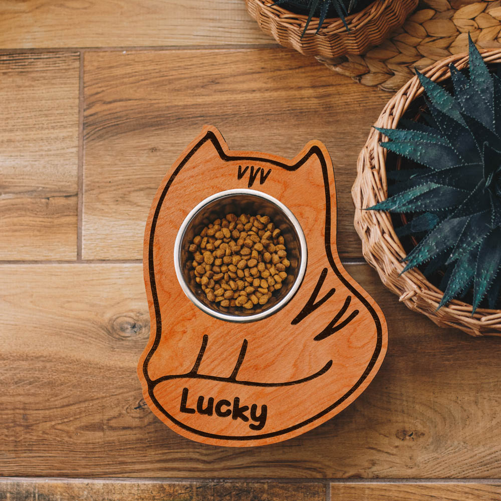 Hungry Cat Bowl (Single)
