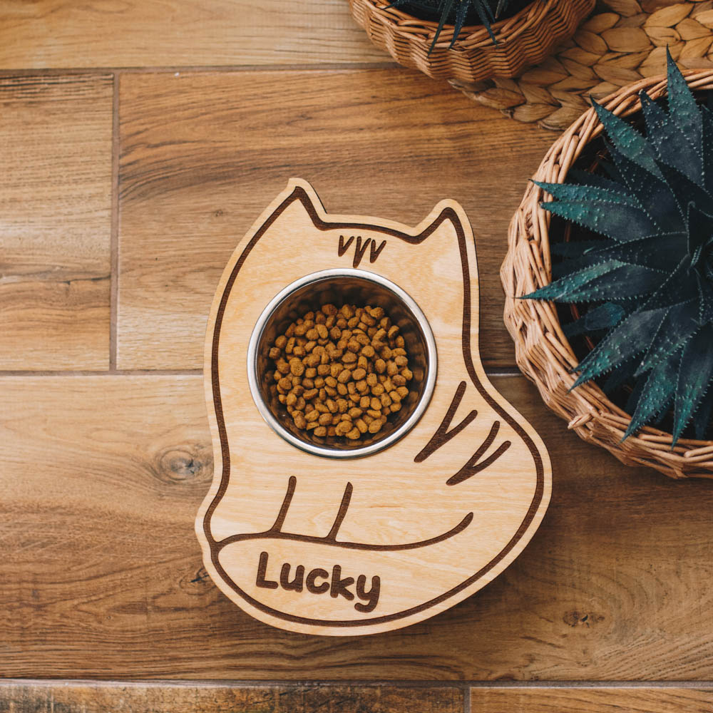 Hungry Cat Bowl (Single)