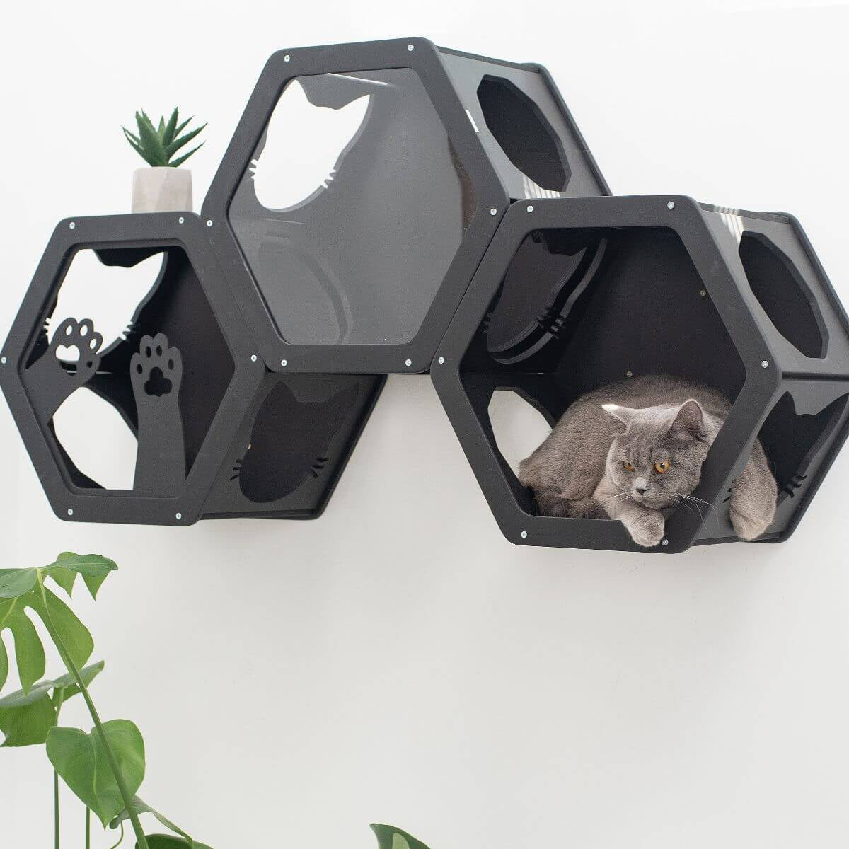 Wall Mount Cat Shelves Black