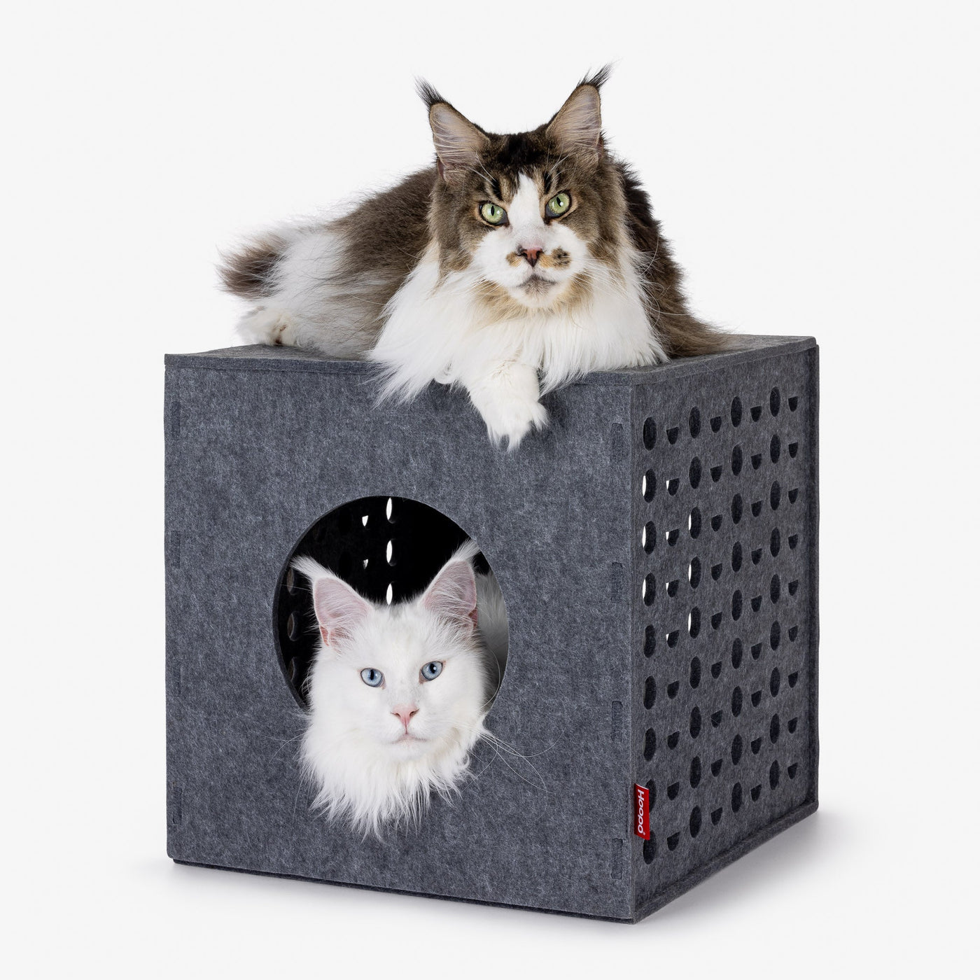 Cube Cat House
