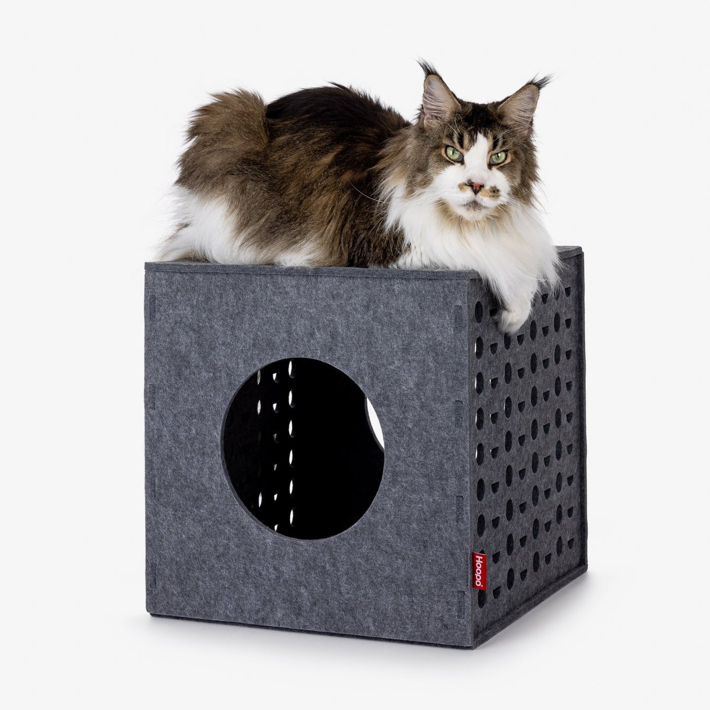 Cube Cat House