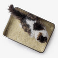 Pool Litter Box