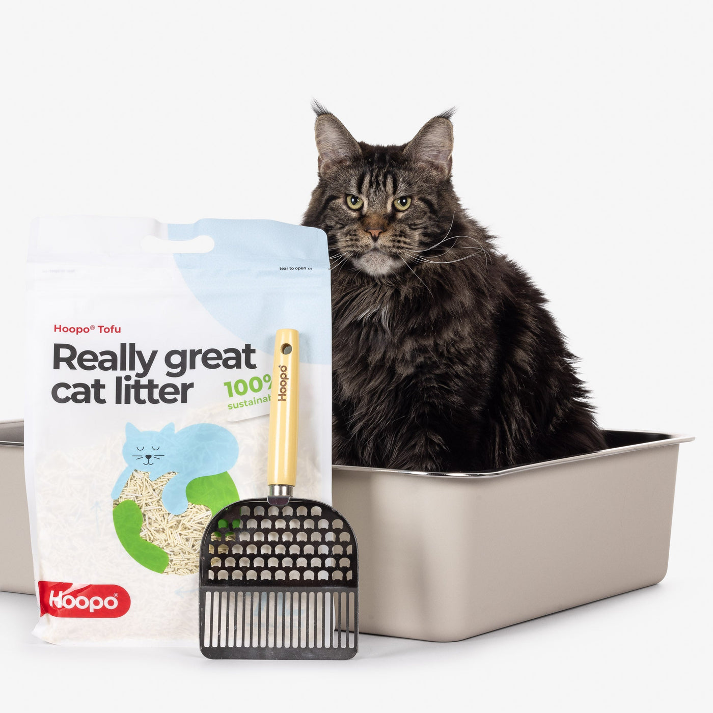 Pool Litter Box