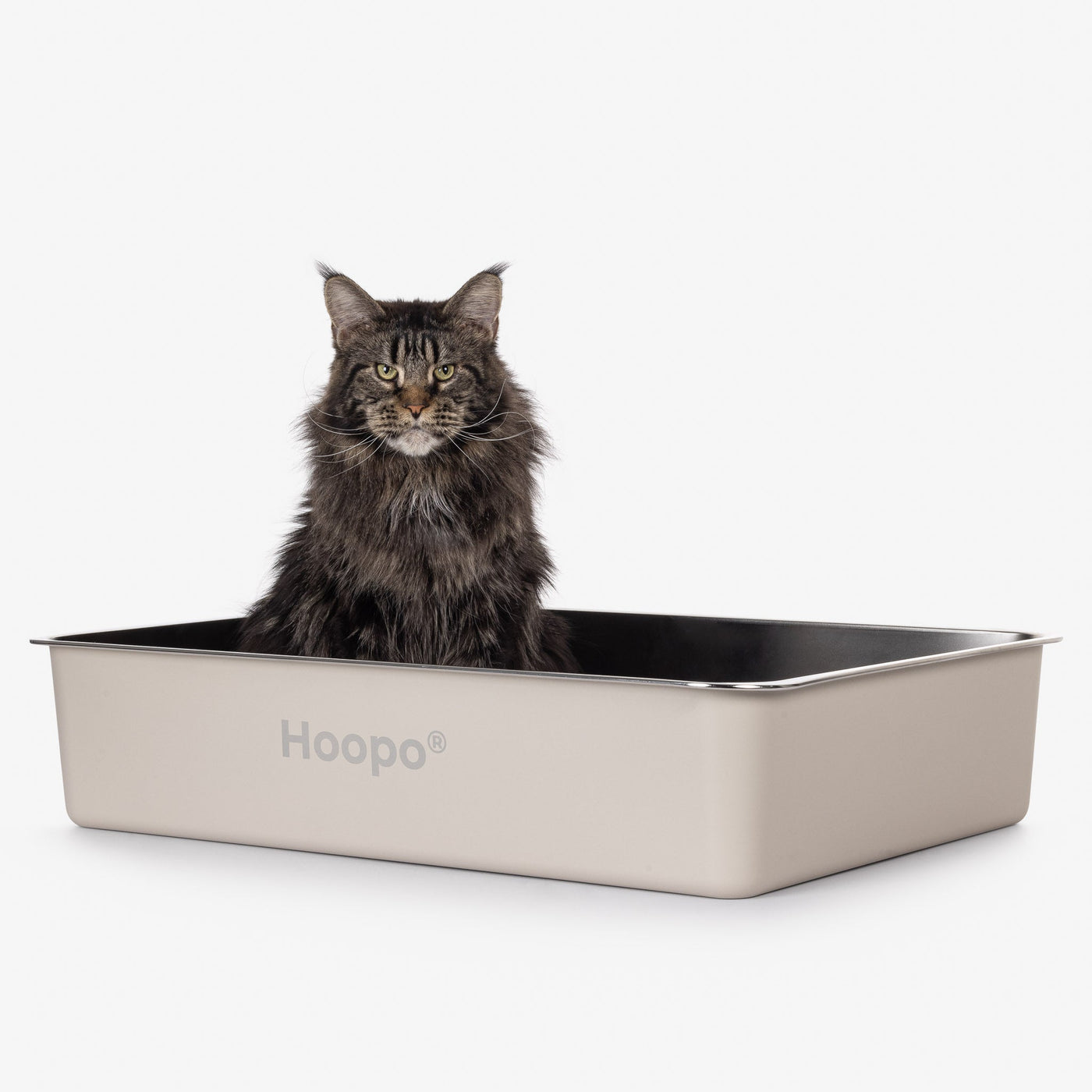Pool Litter Box