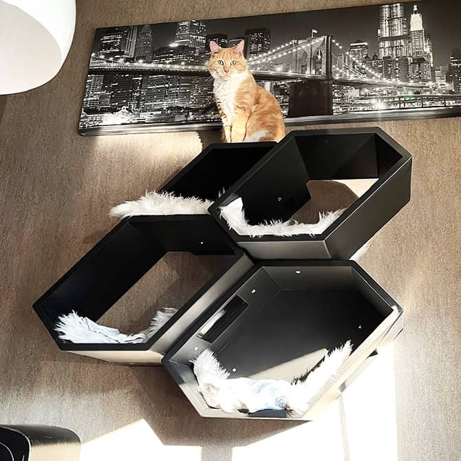 Catissa Hive Cat Tree by Catissa, view 6