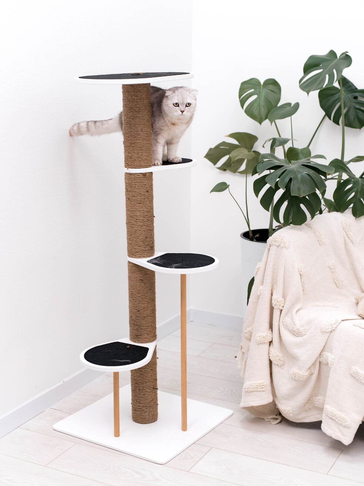 Cat Climbing Tower
