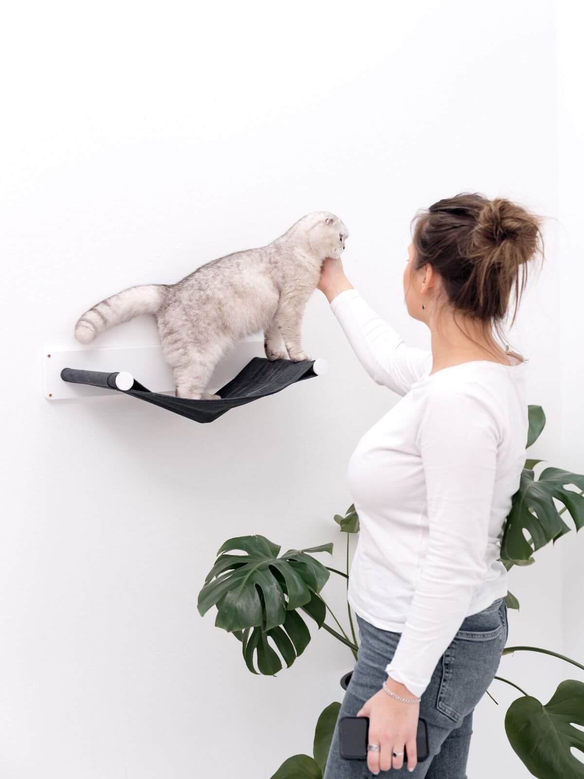 Cat Hammock Shelf