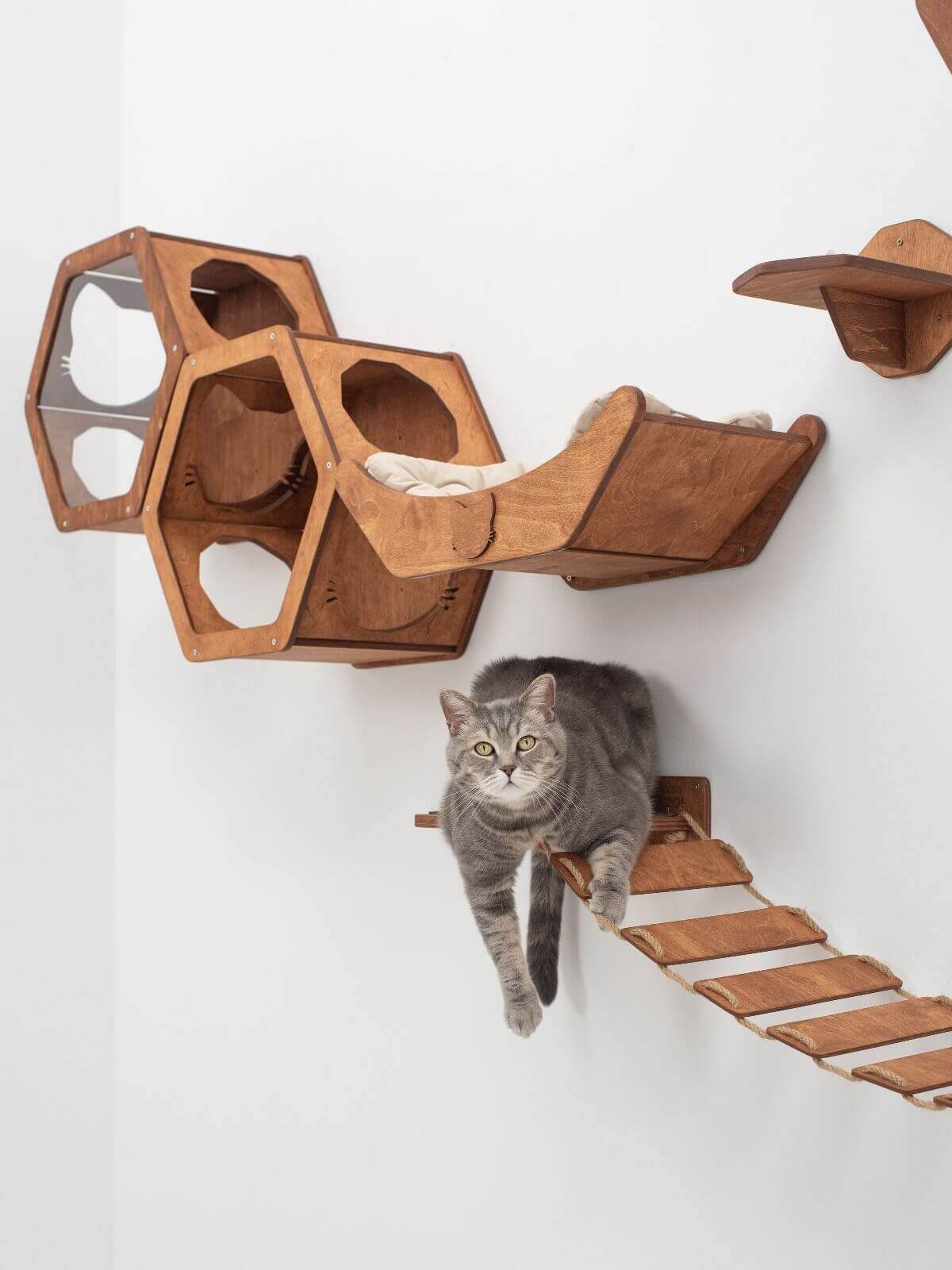 Cat Perch for Wall Dark Walnut