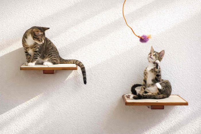 Twelve inch wall mounted cat perch with a textured fabric top installed as a step