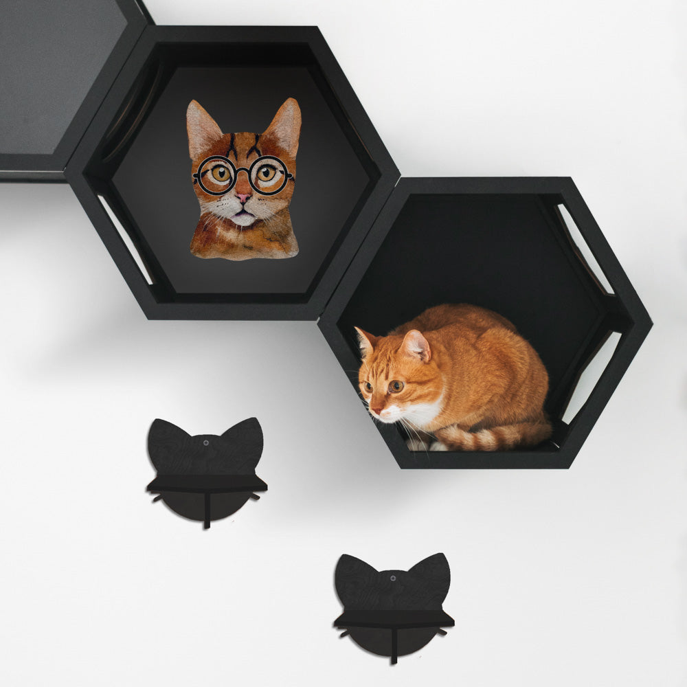 Black Cat Wall Furniture Set