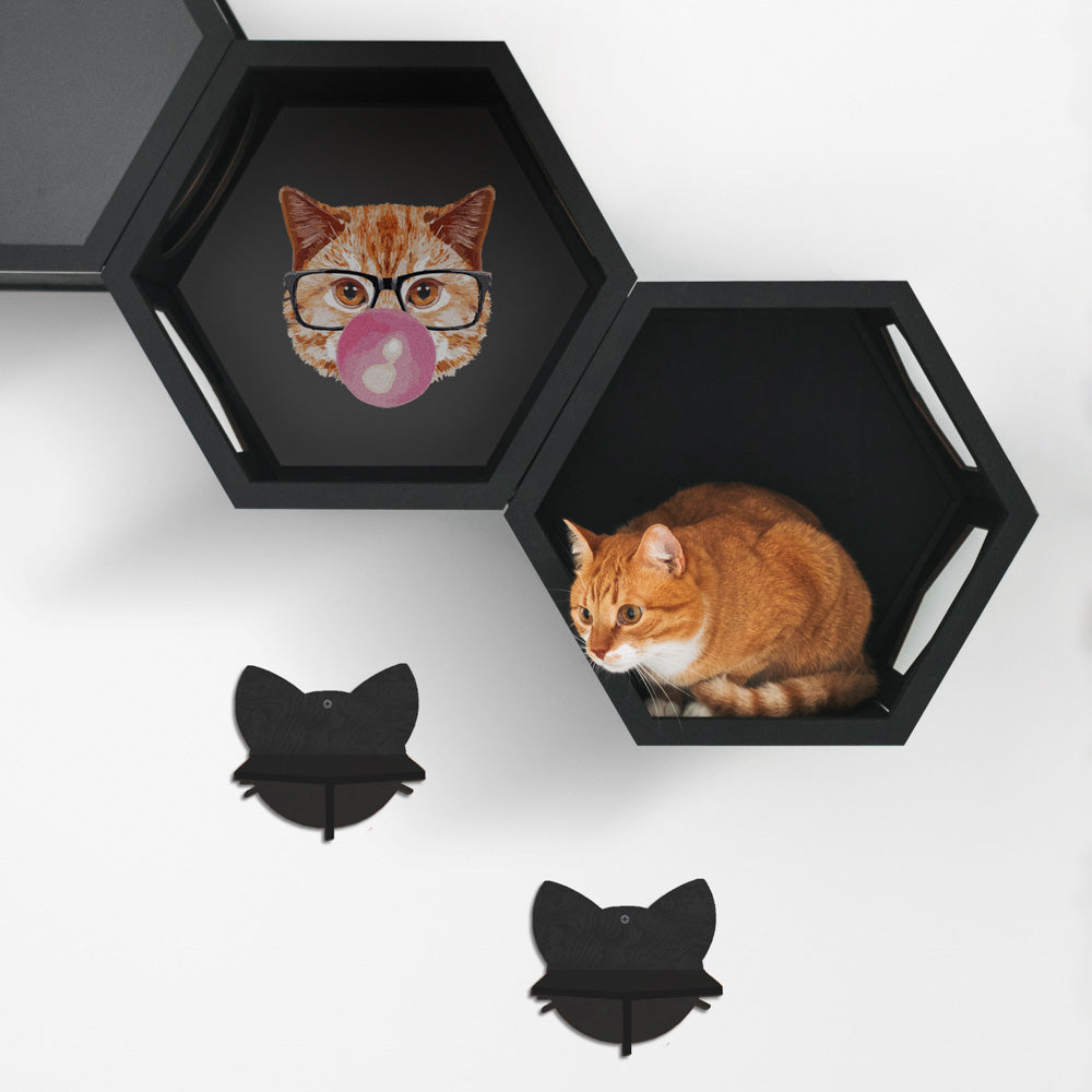 Black Cat Wall Furniture Set