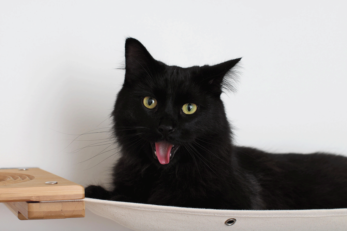 Wall mounted cat condo with a tall three-tier sisal scratching pole and stacked platforms