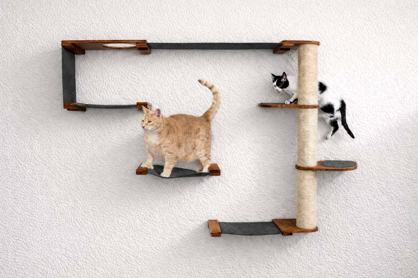Wall mounted cat condo with a tall three-tier sisal scratching pole and stacked platforms