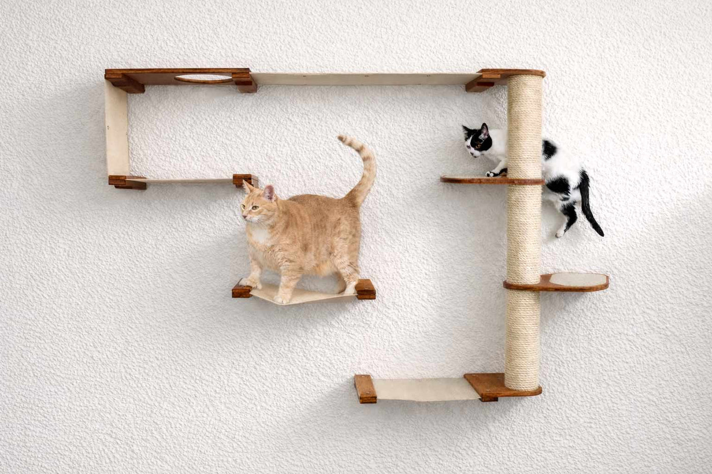 Wall mounted cat condo with a tall three-tier sisal scratching pole and stacked platforms