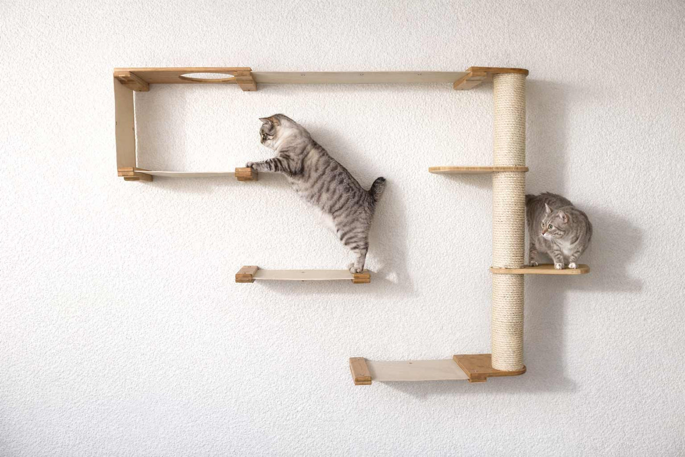 Wall mounted cat condo with a tall three-tier sisal scratching pole and stacked platforms