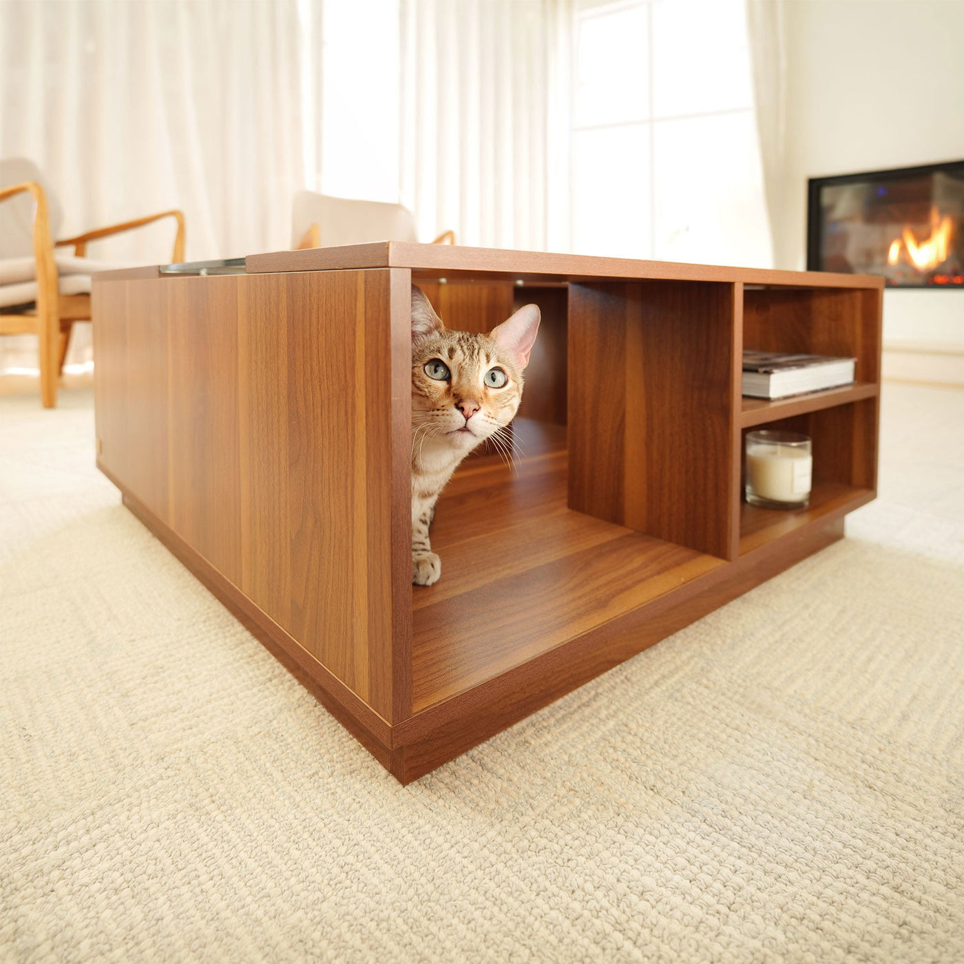 Coco Cat Coffee Table by 4Cats & Dogs, view 9