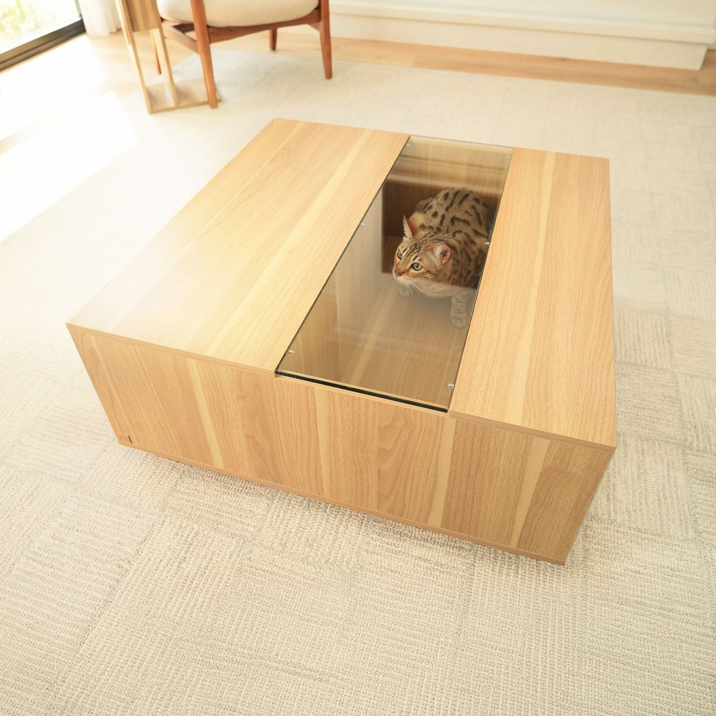 Coco Cat Coffee Table by 4Cats & Dogs, view 4