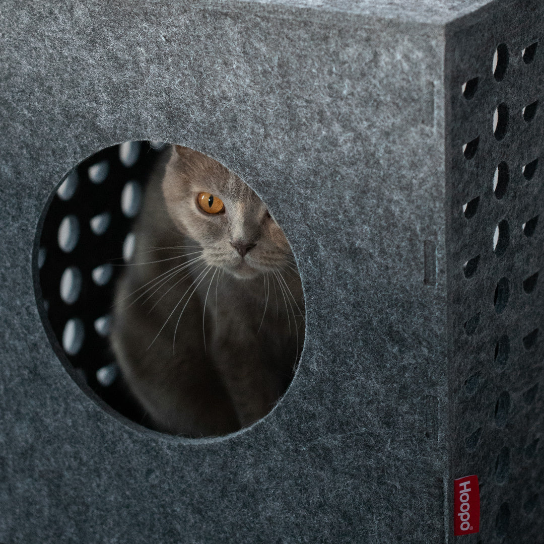 Cube Cat House