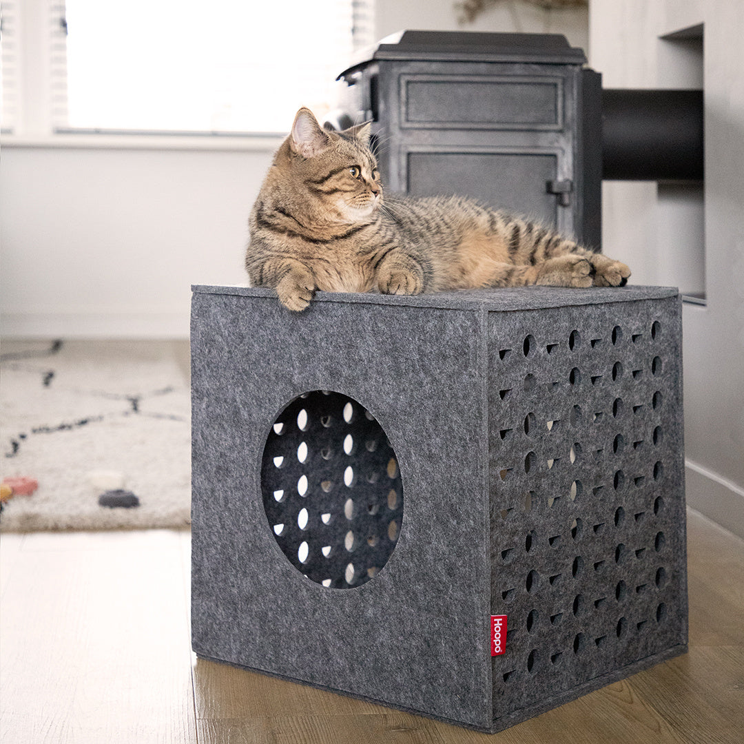 Cube Cat House