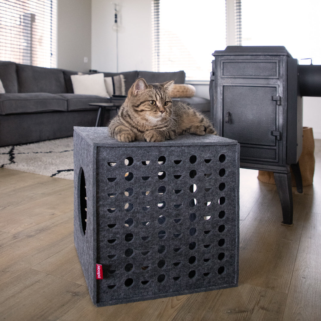 Cube Cat House