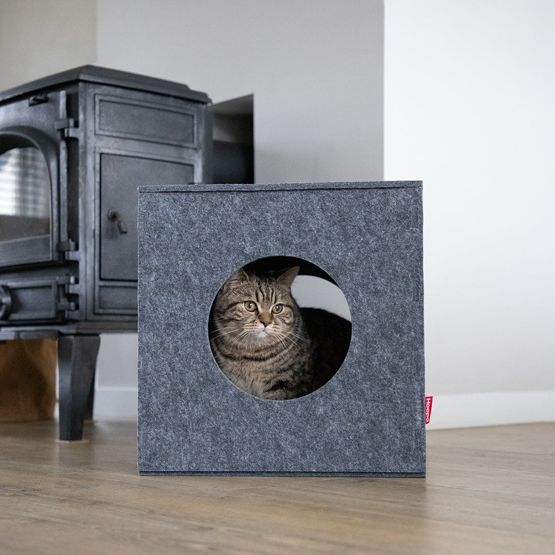 Cube Cat House