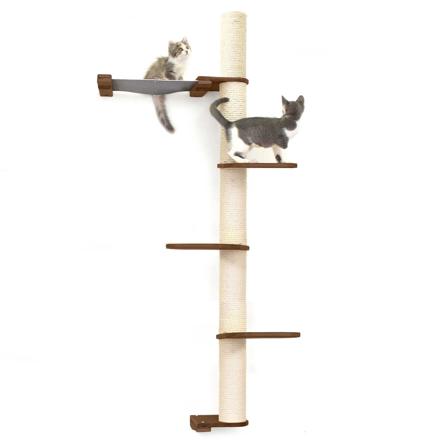 Tall wall mounted cat scratcher tree with a sisal pole installed high near the ceiling