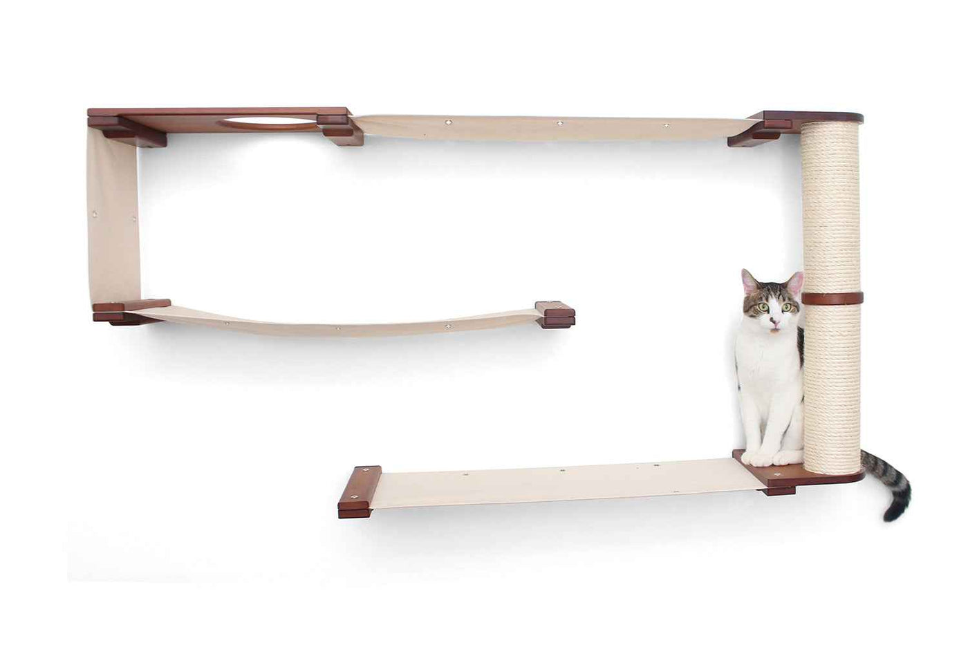 Cat Wall Maze
