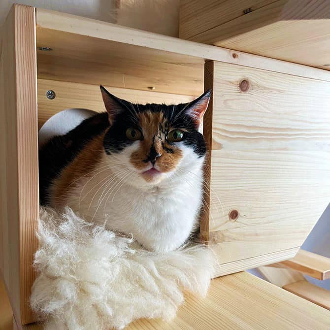Catissa Wall Cat Tower by Catissa, view 6