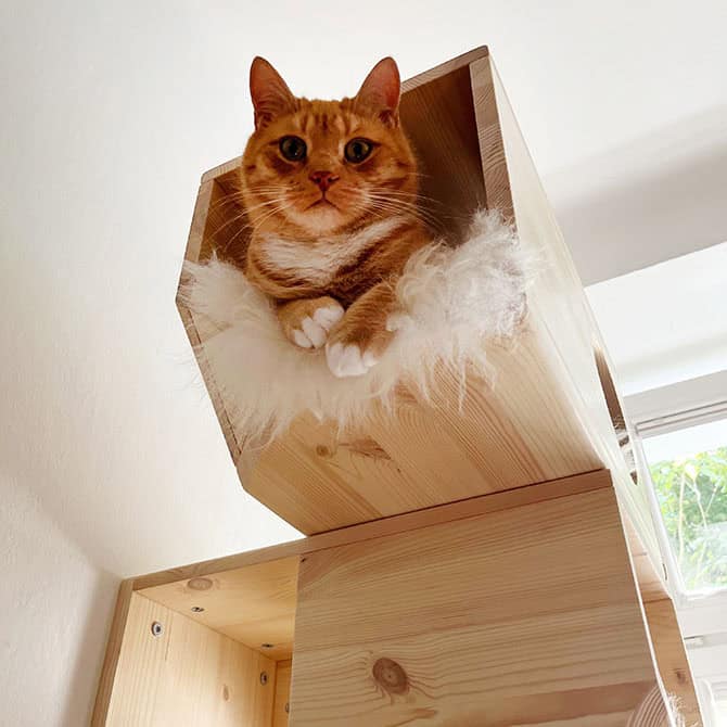 Catissa Wall Cat Tower by Catissa, view 7