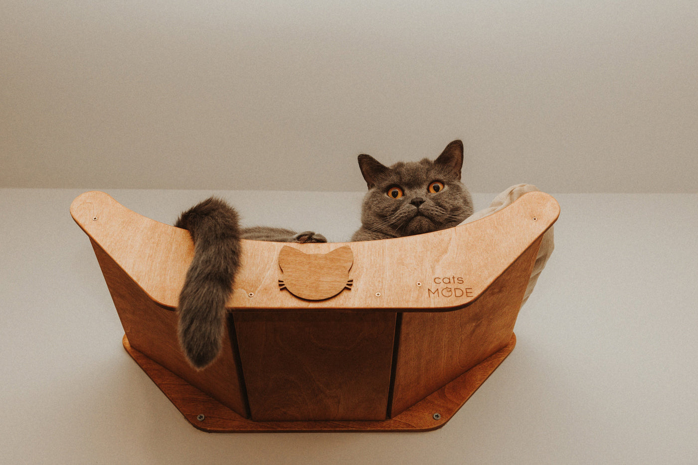 Wall Hexagon Cat House Set 2 Felt + Basket for Cats