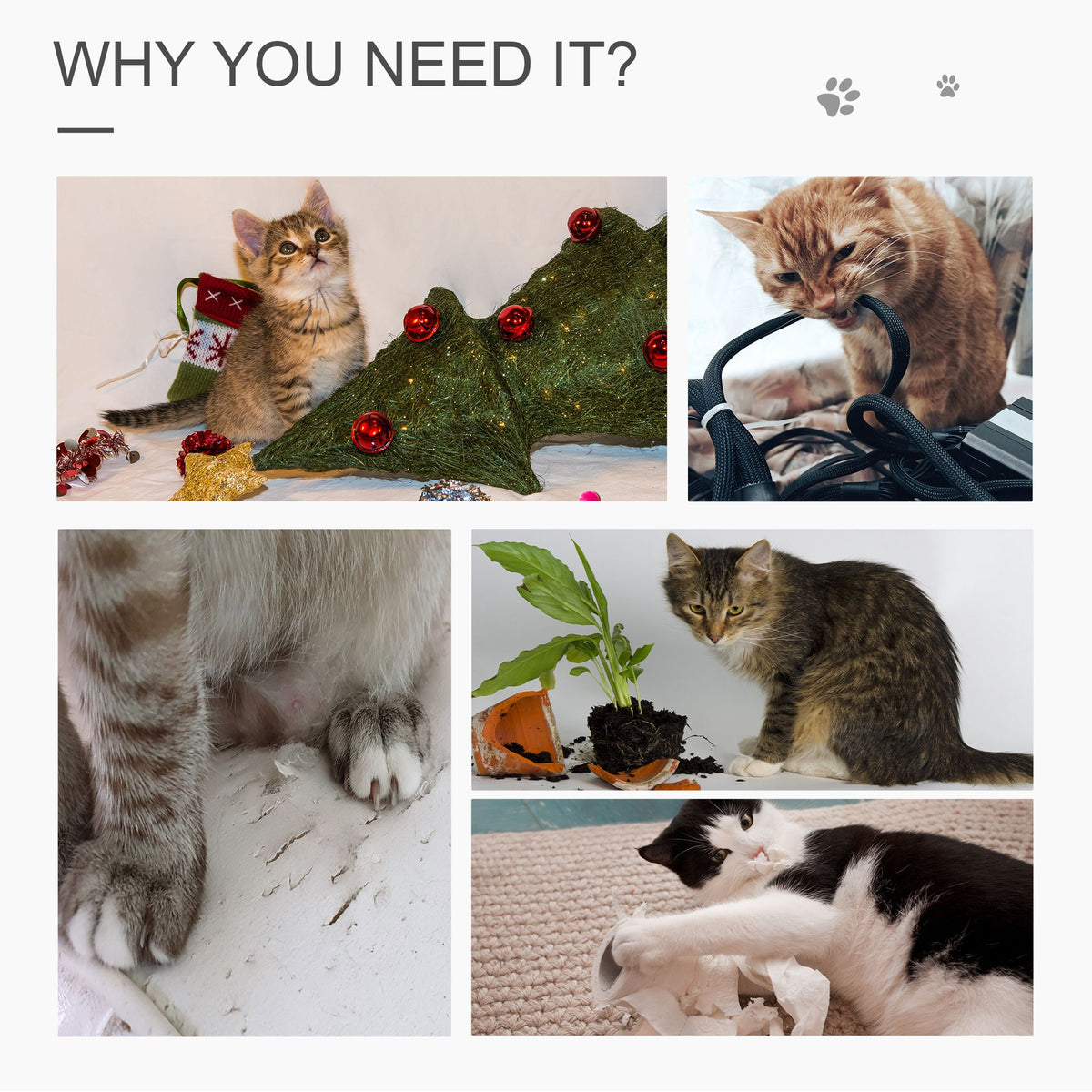 563775741