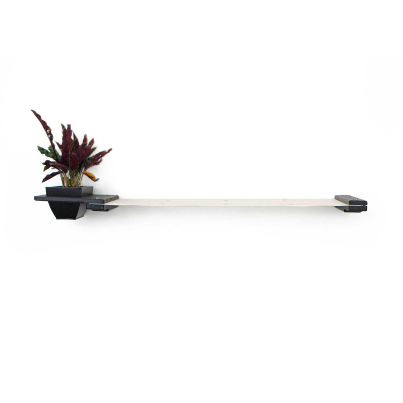 Wall mounted canvas cat hammock with an attached planter box holding cat grass