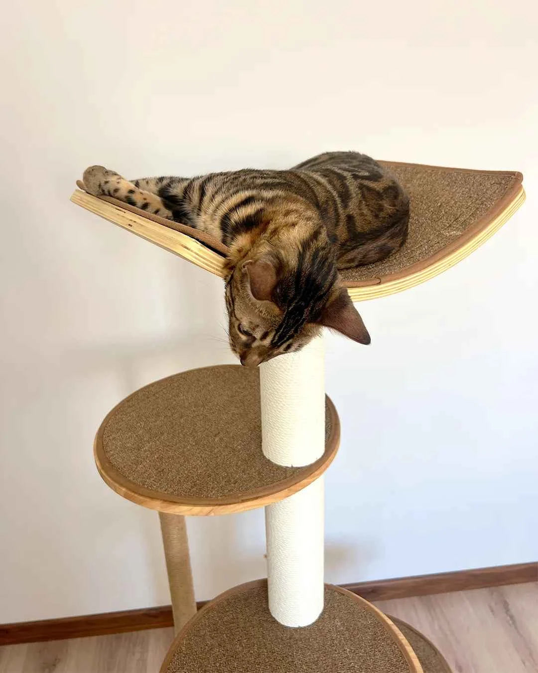 Gaviota Cat Scratching Tree