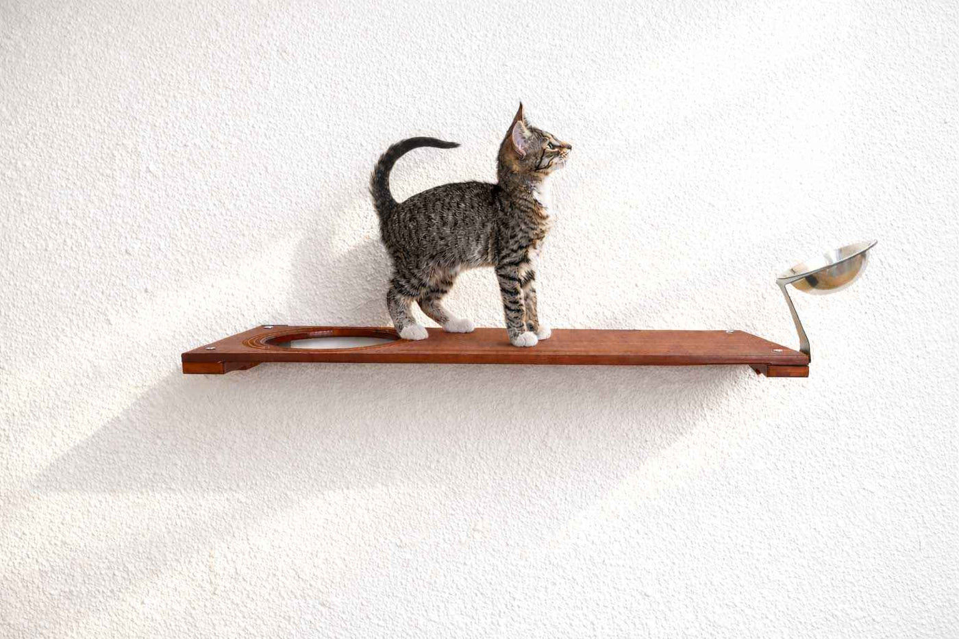 Wall-Mounted Cat Feeding Shelf