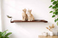 Wall-Mounted Cat Feeding Shelf
