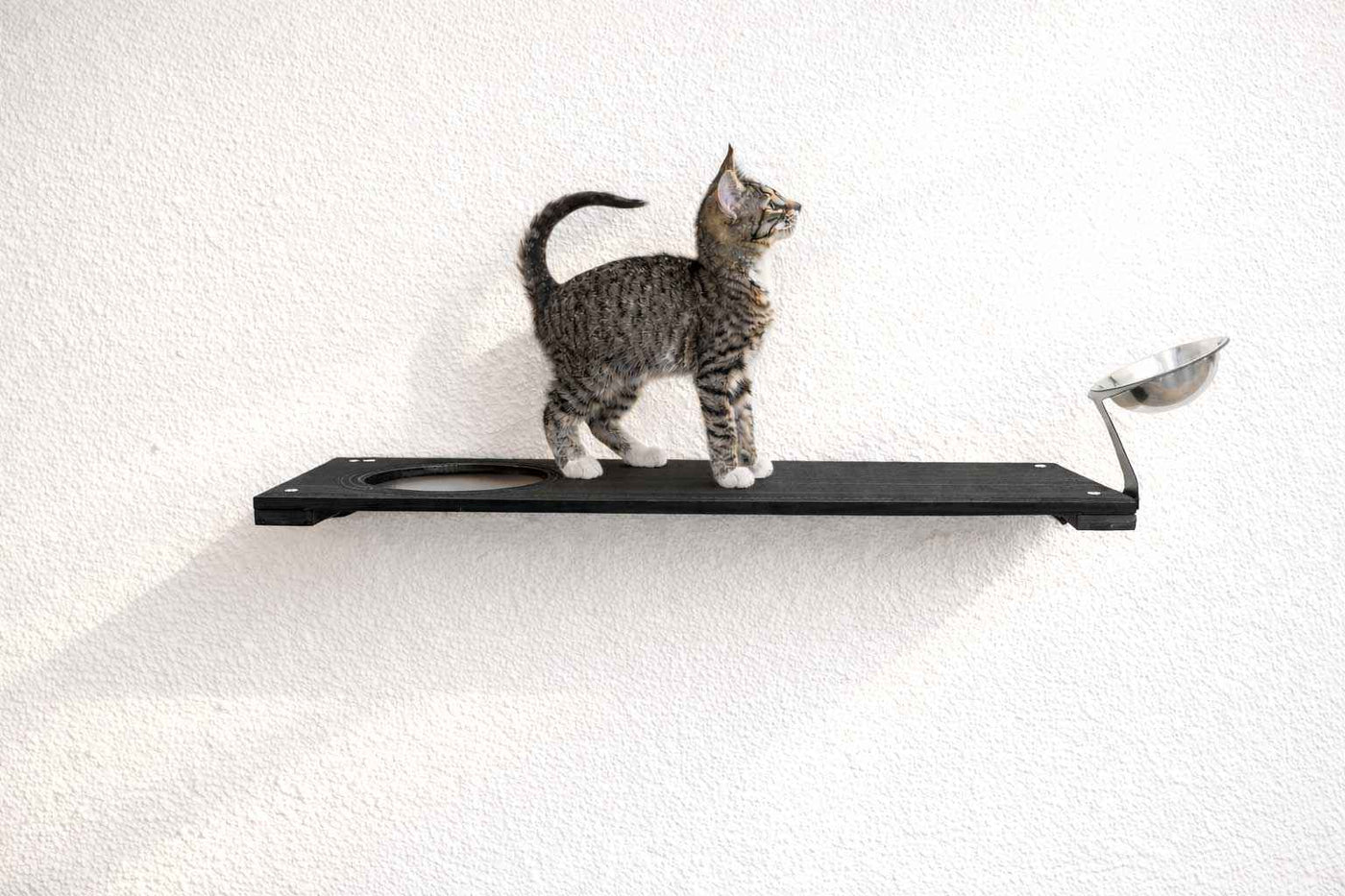 Wall-Mounted Cat Feeding Shelf