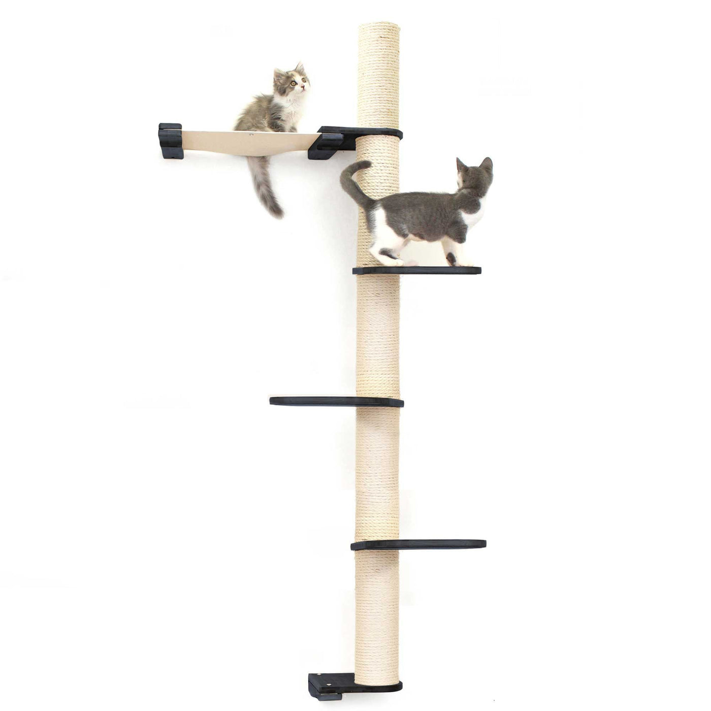 Tall wall mounted cat scratcher tree with a sisal pole installed high near the ceiling
